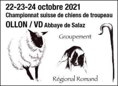 Championnat suisse de chiens de troupeau